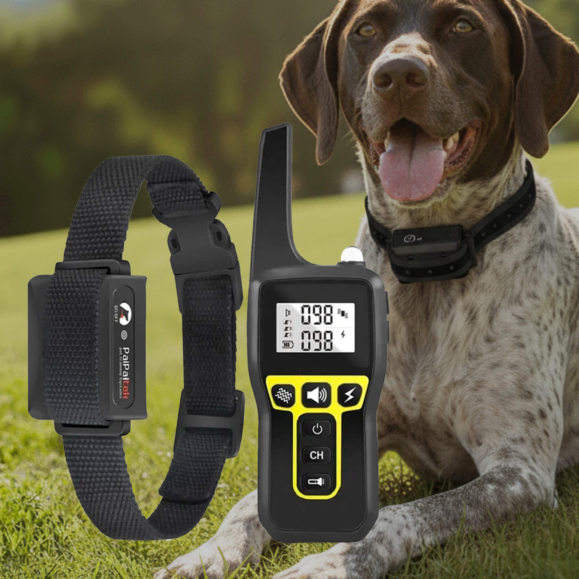 Dog Training Collars | Remote E Collar For Dogs-Dog Collar-Homefinn