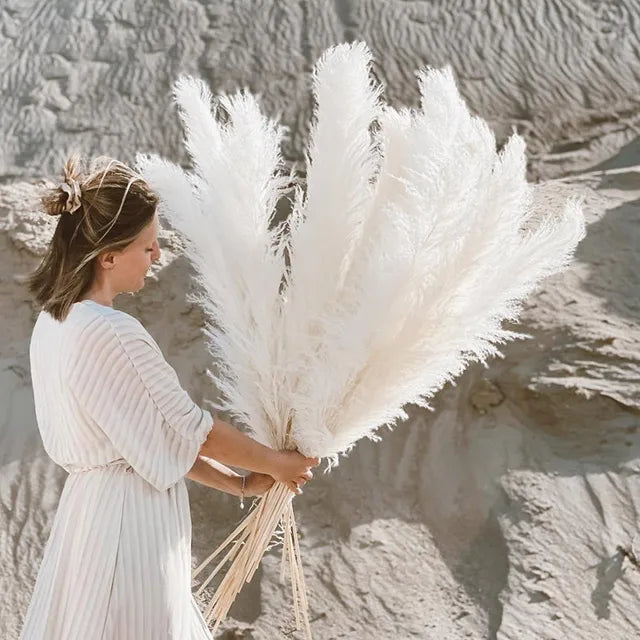 Pampass Grass | Boho Home Decor-Pampass Grass-Homefinn