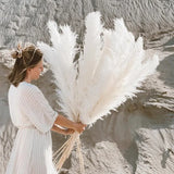 Pampass Grass | Boho Home Decor