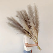 Pampass Grass | Boho Home Decor-Pampass Grass-Homefinn