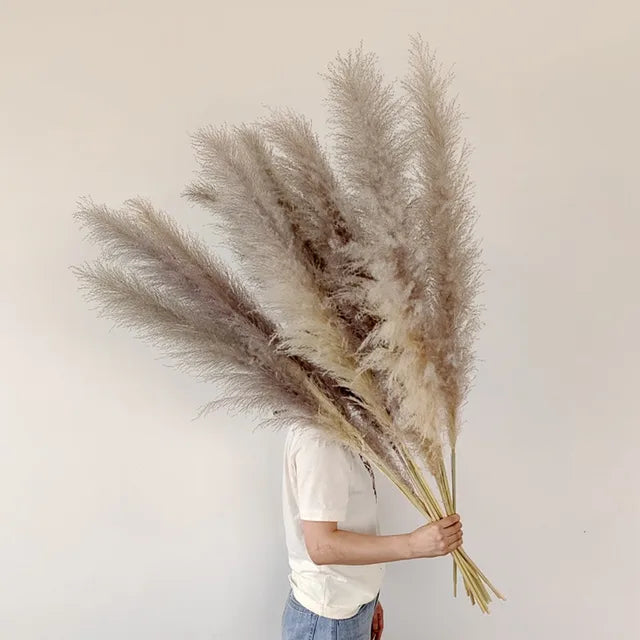 Pampass Grass | Boho Home Decor-Pampass Grass-Homefinn