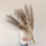 Pampass Grass | Boho Home Decor