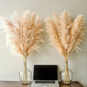 Pampass Grass | Boho Home Decor-Pampass Grass-Homefinn