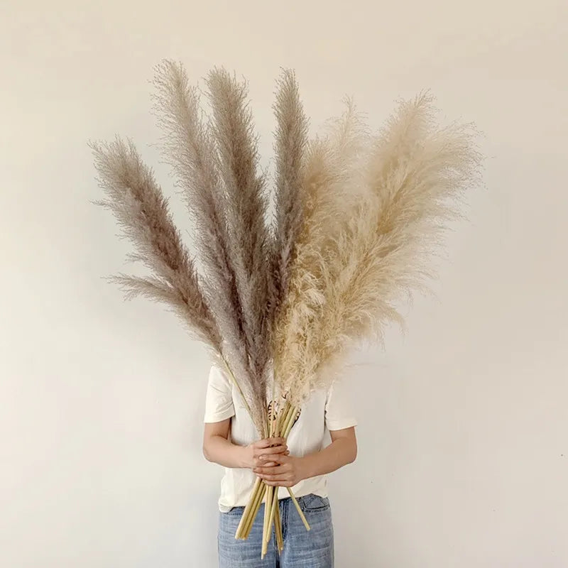 Pampass Grass | Boho Home Decor-Pampass Grass-Homefinn