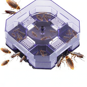 Roach Trap Box | Cockroach Bait Stations-Cockroach Trap-Homefinn