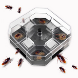 Roach Trap Box | Cockroach Bait Stations