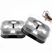 Roach Trap Box | Cockroach Bait Stations-Cockroach Trap-Homefinn