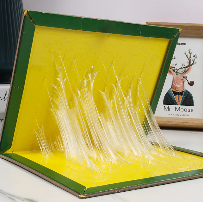 Mouse Glue Trap | Sticky Rat Glue Traps-Glue Trap-Homefinn