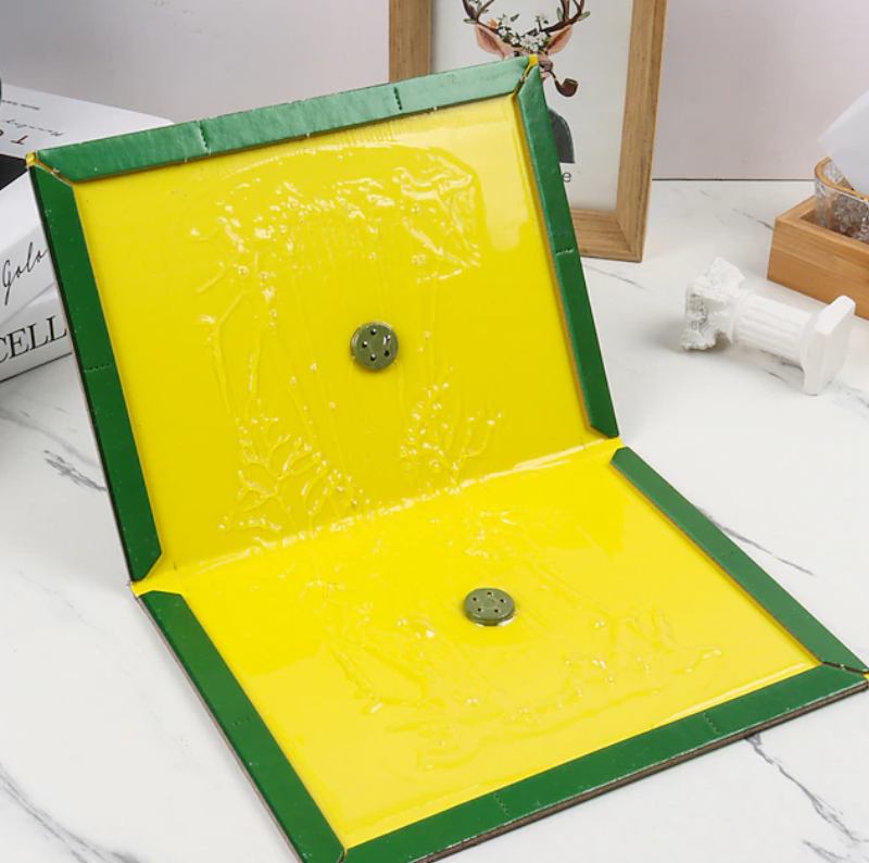 Mouse Glue Trap | Sticky Rat Glue Traps-Glue Trap-Homefinn