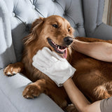 Dog Brush Glove | Pet Wipes For Dogs