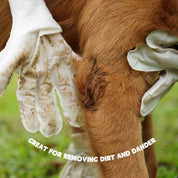 Dog Brush Glove | Pet Wipes For Dogs-Pet Wipes-Homefinn