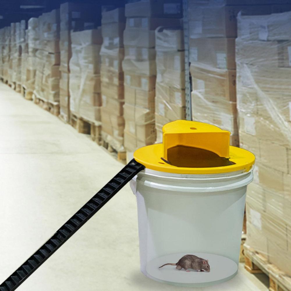 Humane Bucket Mouse Trap | Reusable Rodent Control-Mouse Trap-Homefinn