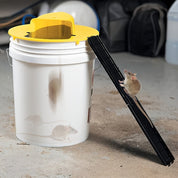 Mouse Trap | Humane Bucket Mouse Trap-Mouse Trap-Homefinn