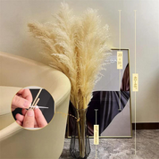 Pampass Grass | Boho Home Decor-Pampass Grass-Homefinn