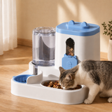 Automatic Pet Feeder And Water Dispenser | Food And Water Station