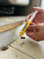 Cockroach Gel Bait | Indoor Roach Control Syringe