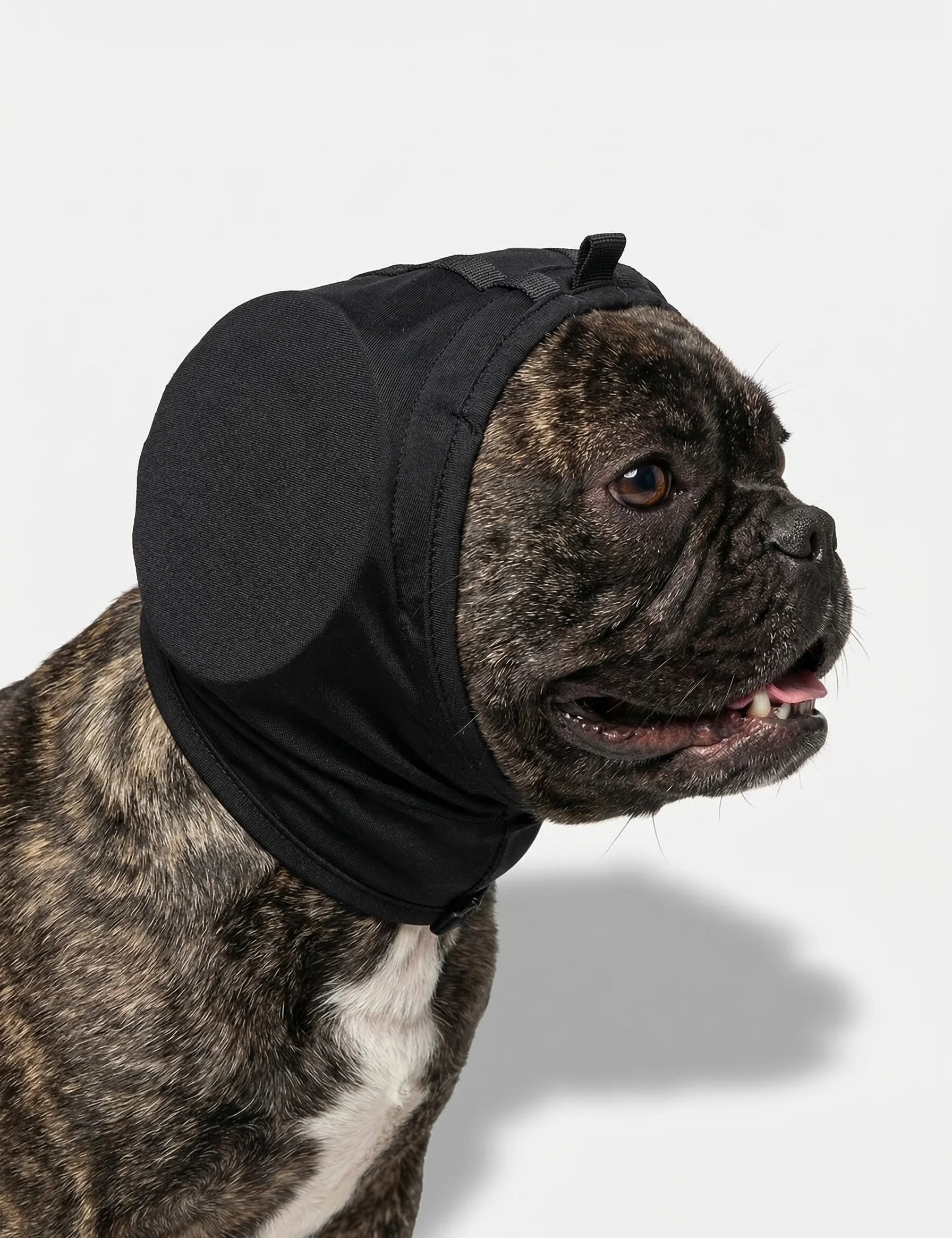 Dog Ear Muffs | Noise Protection Pet Comfort-Pet Hat-Homefinn