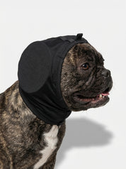 Dog Ear Protection | Dog Ear Muffs-Pet Hat-Homefinn