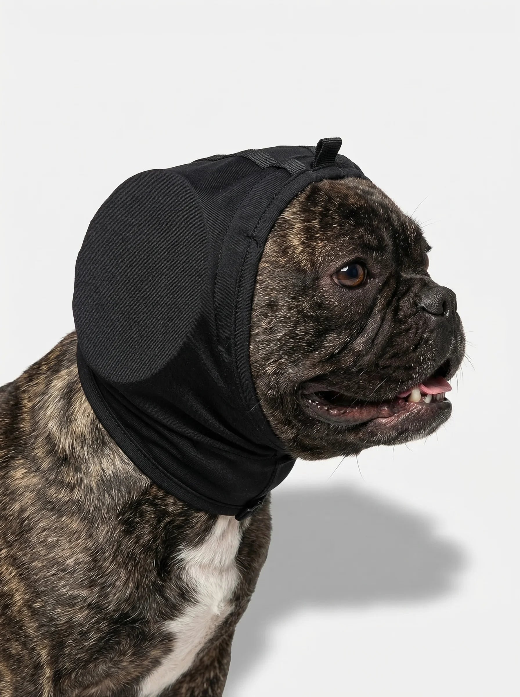 Dog Ear Protection | Dog Ear Muffs-Pet Hat-Homefinn