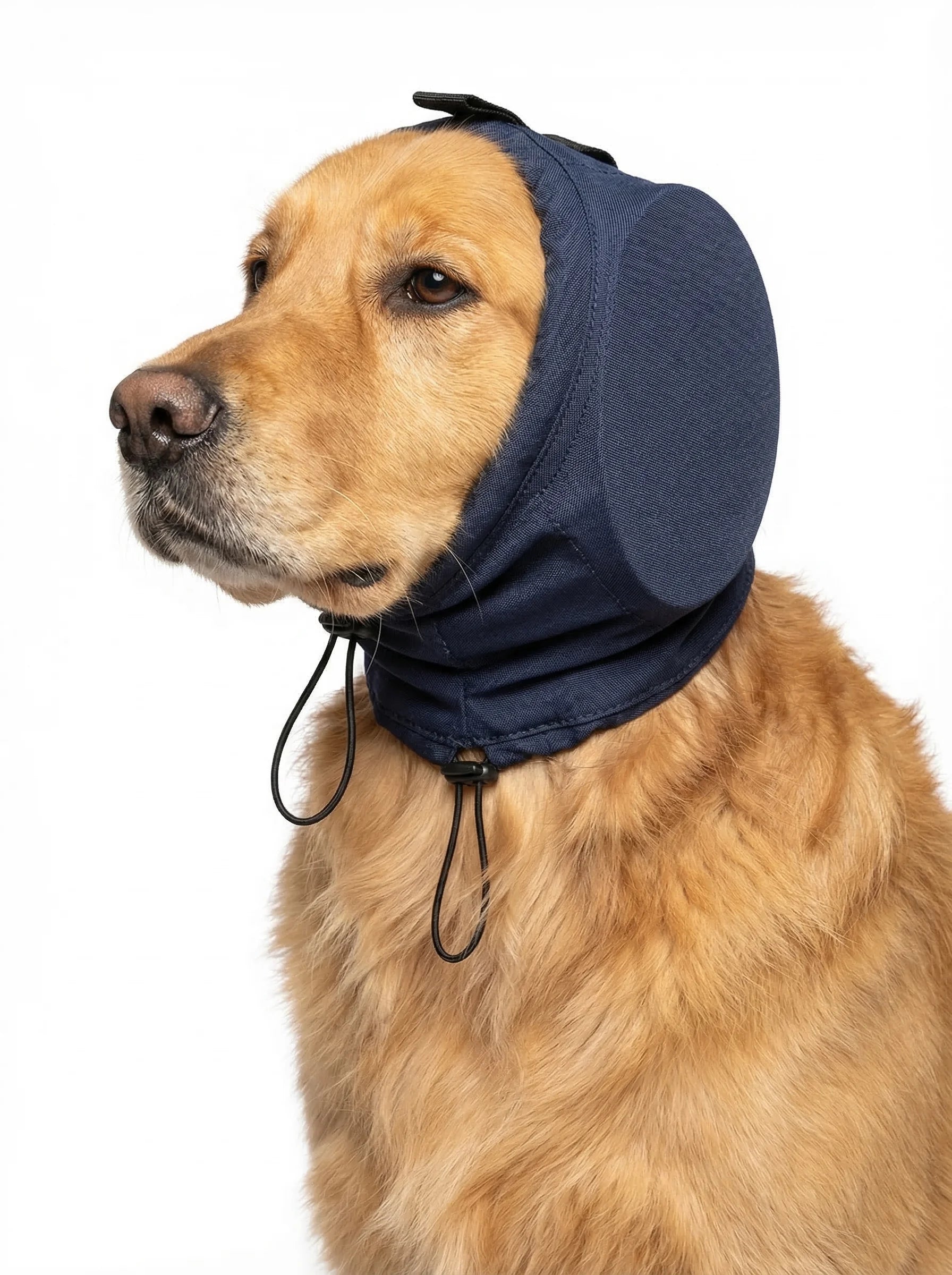 Dog Ear Protection | Dog Ear Muffs-Pet Hat-Homefinn