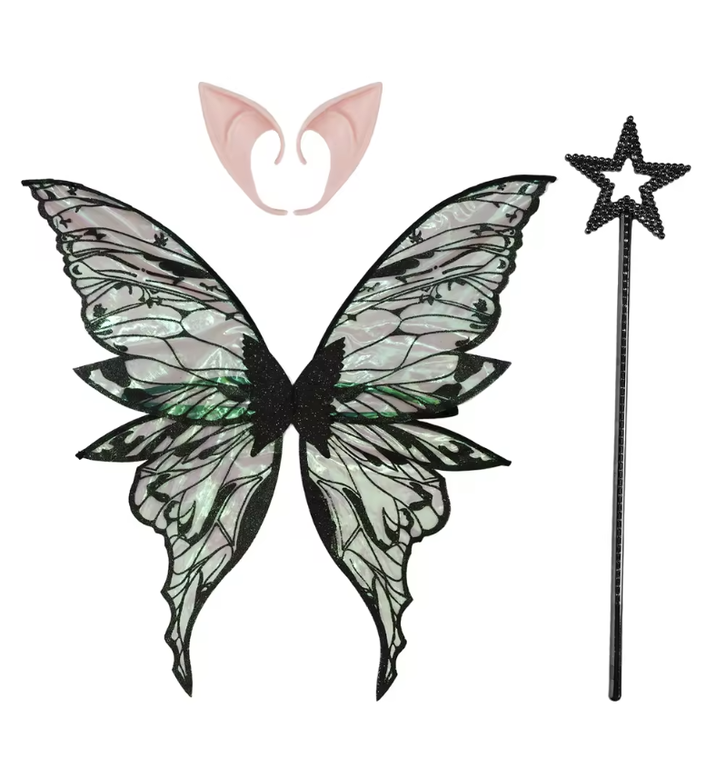 fairy_wing_costume_set_butterfly_wings_dress_up_accessory.png