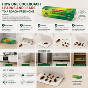 Ant Control Gel | Precision Applicator Syringe • Homefinn