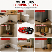 Cockroach House | Cockroach Trap Bait Station • Homefinn