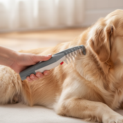 Electric Pet Grooming Comb | Flea Removal · Homefinn