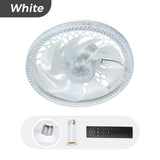 Modern Ceiling Fan Light | Remote Control