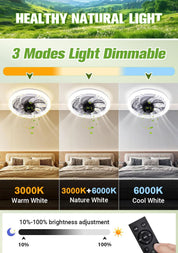 Modern Ceiling Fan Light | Remote Control · Homefinn