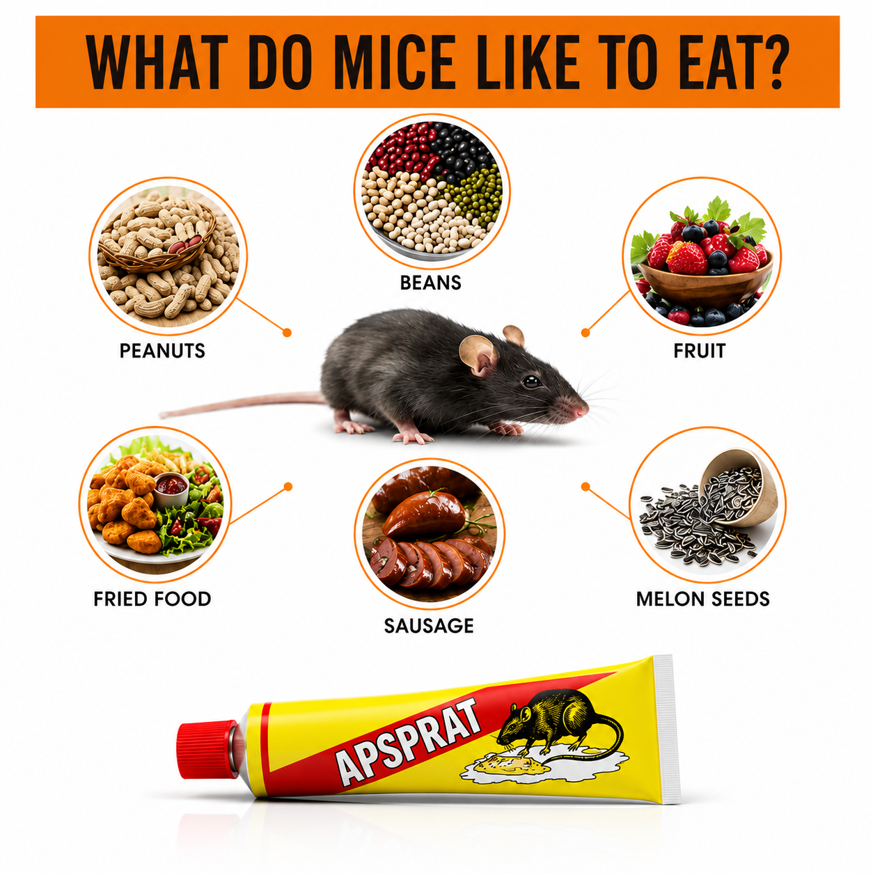 Mouse Glue Trap | Non Poisonous Adhesive Gel • Homefinn