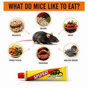 Mouse Glue Trap | Non Poisonous Adhesive Gel • Homefinn