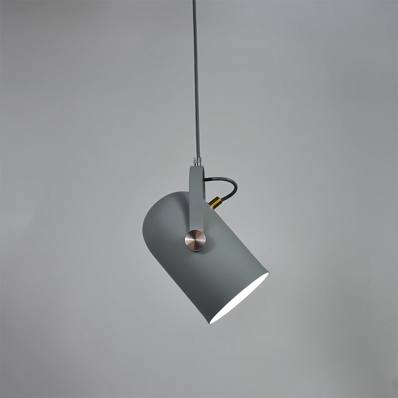 Ceiling Light | Adjustable Pendant Task Lighting-Ceiling Light-Homefinn