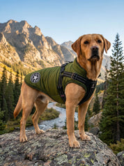Dog Jacket | Outdoor Dog Vest-Pet Coat-Homefinn
