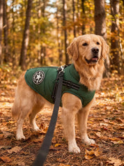 Dog Jacket | Outdoor Dog Vest-Pet Coat-Homefinn