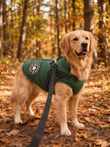 Outdoor Dog Vest | Lightweight Protection Active Walks
