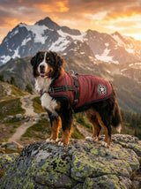 Outdoor Dog Vest | Lightweight Protection Active Walks