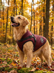 Dog Jacket | Outdoor Dog Vest-Pet Coat-Homefinn
