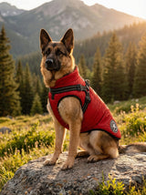 Outdoor Dog Vest | Lightweight Protection Active Walks