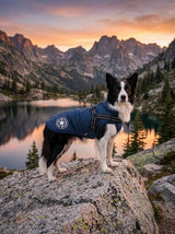 Outdoor Dog Vest | Lightweight Protection Active Walks