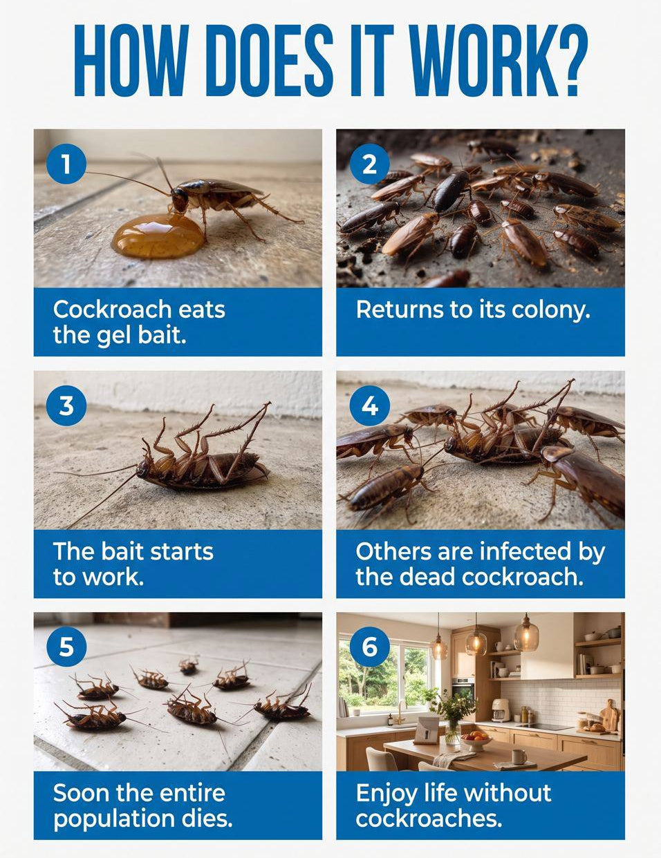 Cockroach Bait Gel | Roach Control Syringe Set-Pest Control-Homefinn