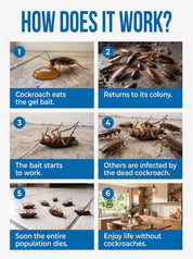Cockroach Bait Gel | Roach Control Syringe Set-Pest Control-Homefinn