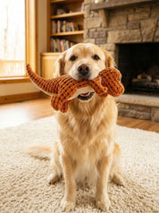 Dog Toy | Plush Dinosaur Toy-Pet Toy-Homefinn