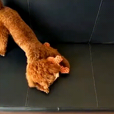 Dog Toy | Plush Dinosaur Toy-Pet Toy-Homefinn
