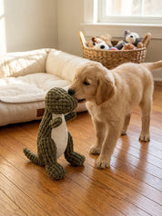 Dog Toy | Plush Dinosaur Toy-Pet Toy-Homefinn