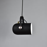 Ceiling Light | Adjustable Pendant Task Lighting