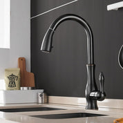 Pull-Out Kitchen Faucet | Kitchen Sink Faucet-Faucet-Homefinn