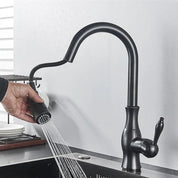 Pull-Out Kitchen Faucet | Kitchen Sink Faucet-Faucet-Homefinn