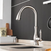 Pull-Out Kitchen Faucet | Kitchen Sink Faucet-Faucet-Homefinn