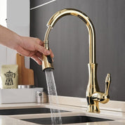 Pull-Out Kitchen Faucet | Kitchen Sink Faucet-Faucet-Homefinn
